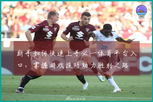 新手如何快速上手必一体育平台入口，掌握游戏技巧助力胜利之路