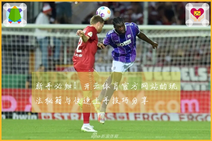 新手必知！开云体育官方网站的玩法秘籍与快速上手技巧分享