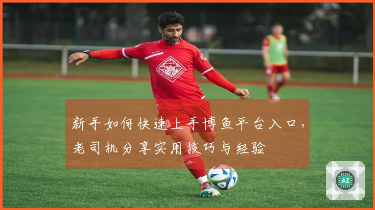 新手如何快速上手博鱼平台入口，老司机分享实用技巧与经验