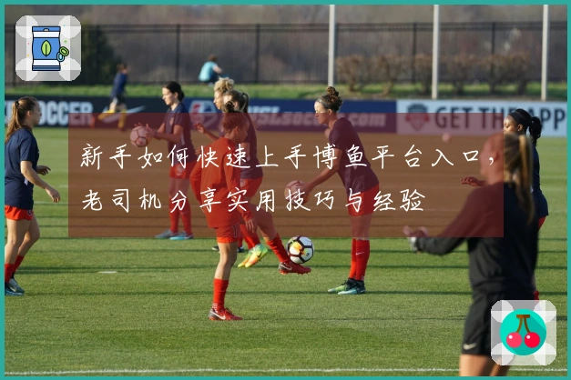 新手如何快速上手博鱼平台入口，老司机分享实用技巧与经验