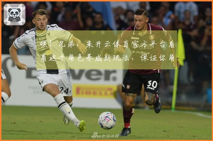 嘿！兄弟，来开云体育官方平台看看这个角色养成新玩法，保证你角色实力飞升！